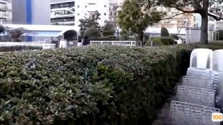 🔞力まかせの性交的 精品黄片地址-老师国产91在线🔞